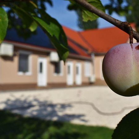 Napfeny Apartman Makó المظهر الخارجي الصورة